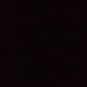 Meet your Posher, Zenora